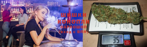 стаф Елабуга