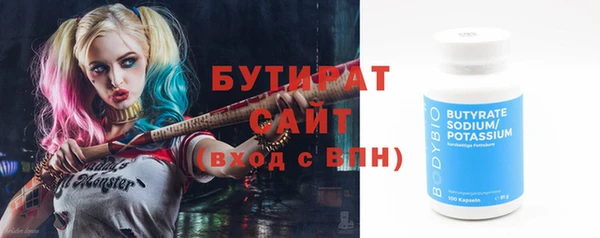 индика Ельня