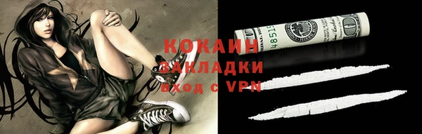 индика Ельня