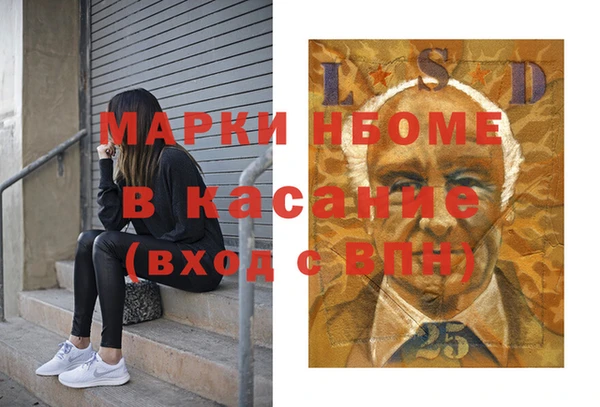 индика Ельня