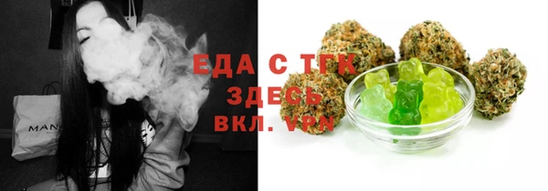 индика Ельня