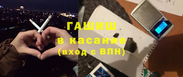 индика Ельня
