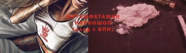 индика Ельня