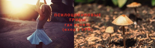 стаф Елабуга