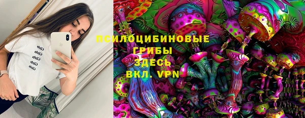 стаф Елабуга