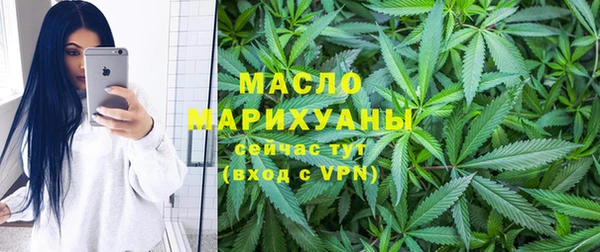 индика Ельня
