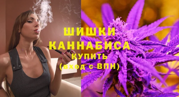 стаф Елабуга