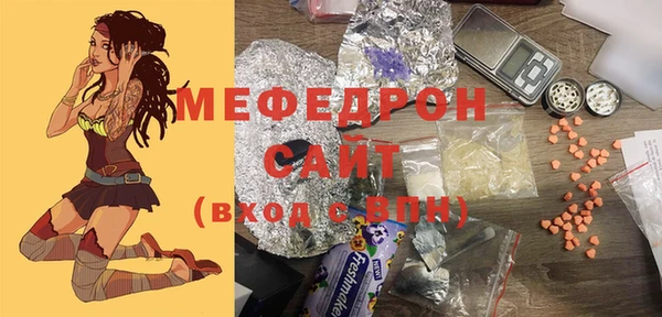 индика Ельня
