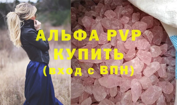 индика Ельня