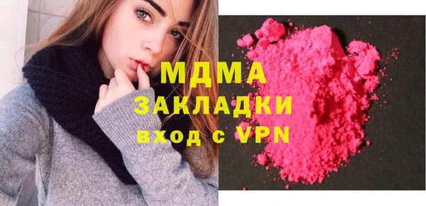 индика Ельня