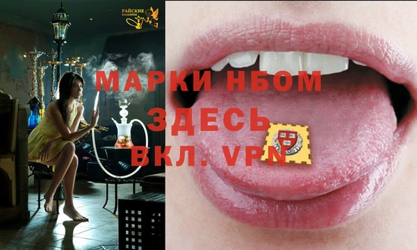 стаф Елабуга