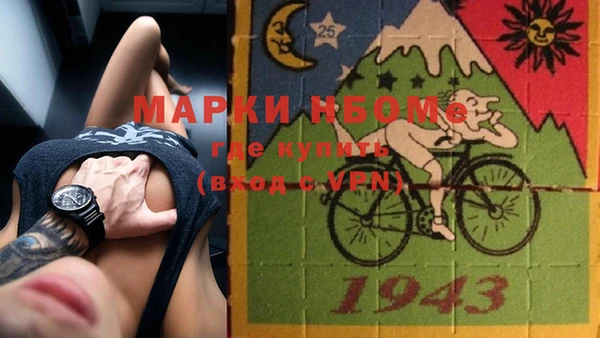 индика Ельня