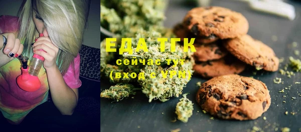 индика Ельня
