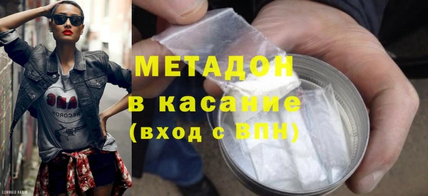 индика Ельня