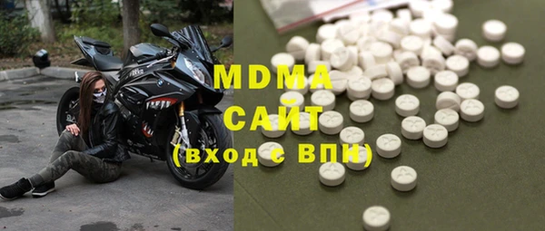 индика Ельня