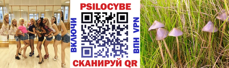 Галлюциногенные грибы Cubensis  Юрьевец 